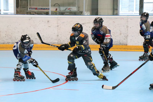 Inlinehockey
