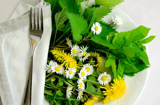 essbare Wildpflanzen